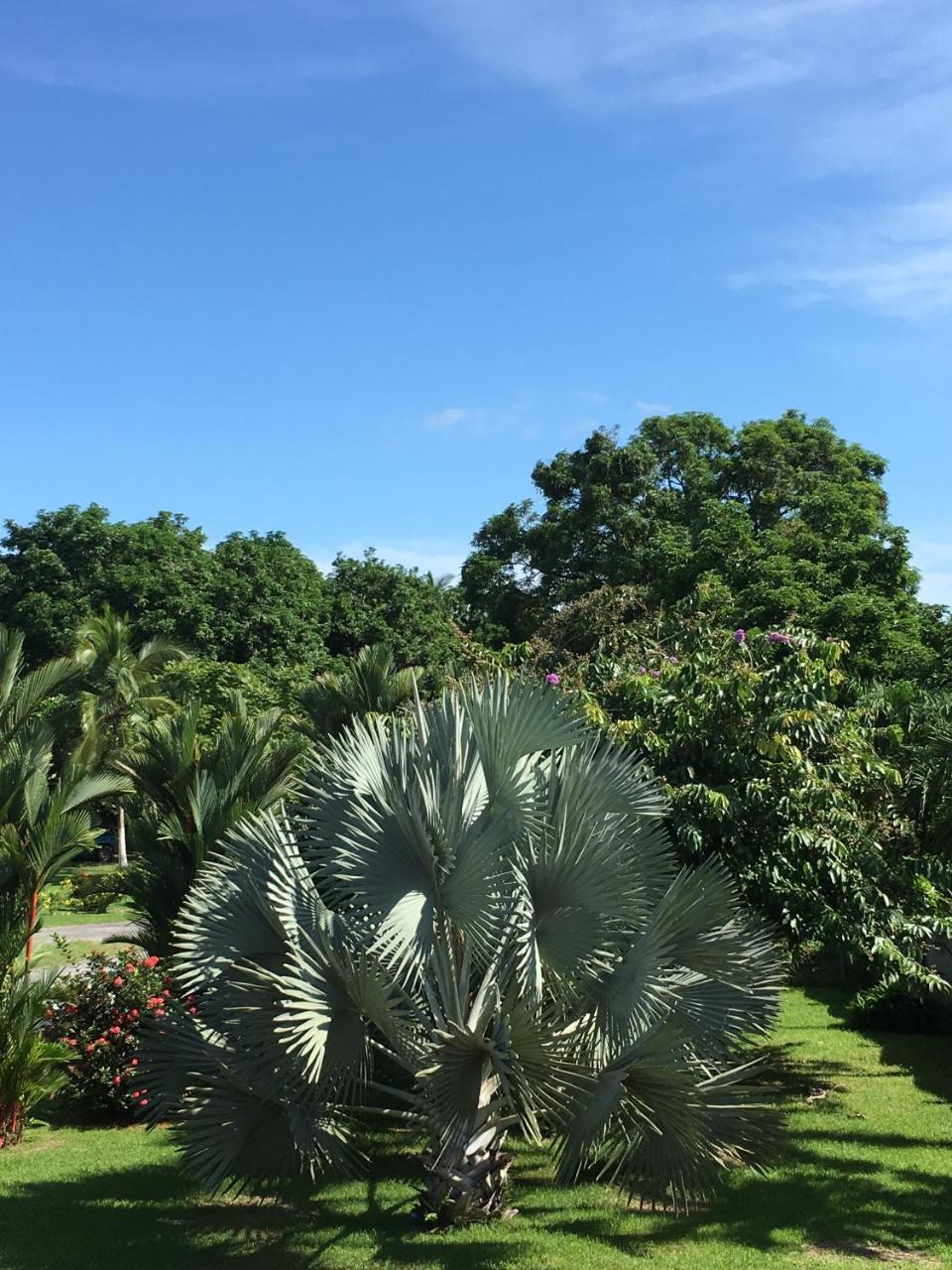 Hotel Los Higuerones Paso Canoas ภายนอก รูปภาพ